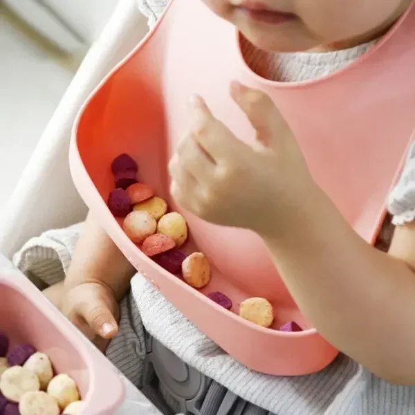 Food Grade Silicone Child Dish - Baby Food Menu ulasan dan harga